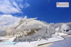 Frost Magical Ice of Siam