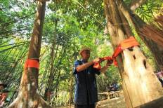 Lom Phu Khiao