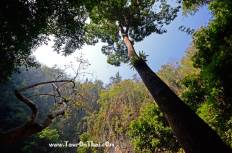 Lom Phu Khiao