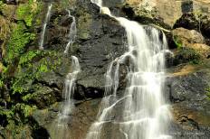 Mae Wa National Park