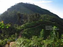 Doi Chik Chong