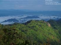 Doi Chik Chong