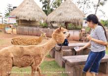 Khonkaen Exotic Pet and Night Safari