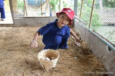ทุ่งธรรมนา