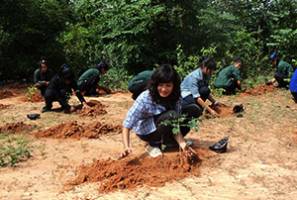 Ban Khaen Noi Community Forest