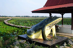 Nong Kae Dam Reservoir