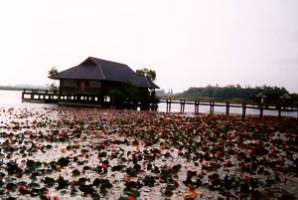 Thale Noi Waterfowl Reserve