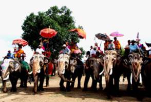 Elephant Village