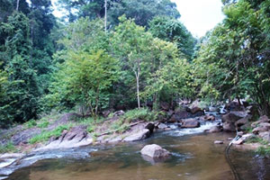 น้ำตกโตนปาหนัน