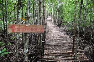 Kroi Suea Yip