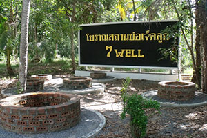 7 Well