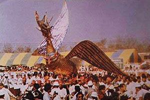 ประเพณีการแห่นก