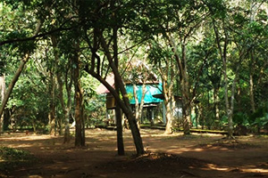 Khao Tham