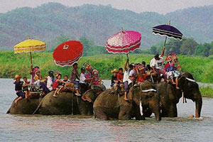 ประเพณีแห่ช้างบวชนาค