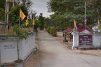 Wat Mae Koi