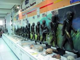 Museum and Prehistoric Laboratory