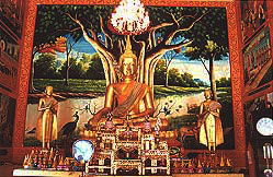 Wat Thung Thong