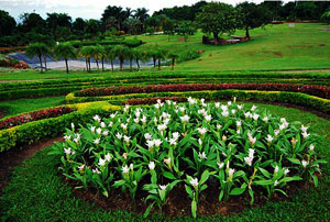 Queen Sirikit's 60th Birthday Anniversary Garden