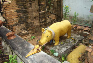 Wat Moo Peng