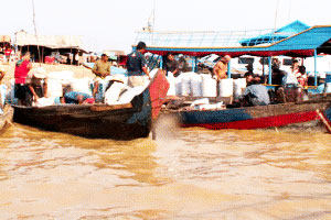 Mekong Fish Pier