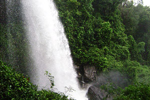 Pha Luang Waterfall Forest Park