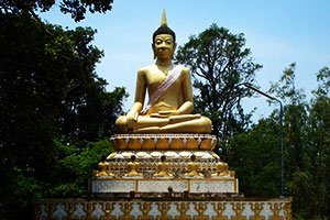 Wat Pa Nong Song Phi Nong
