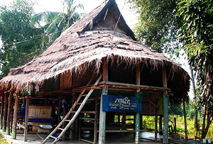 Thai Dam Cultural Village