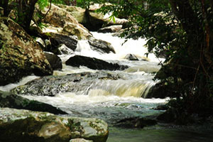 Tad Hai Waterfall