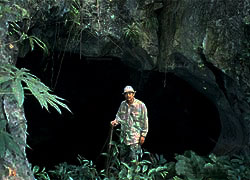 Taeo Cave