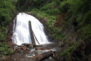 Tat Mork Waterfall