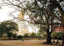 Wat Phra Koet