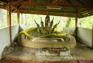 Wat Phra That Pang Muang