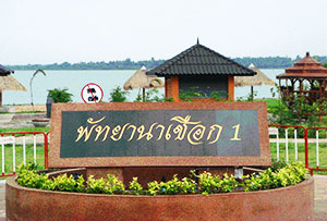 Pattaya Nachueak 1