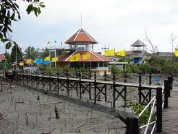 Nature Education Center and Mangrove Conservation
