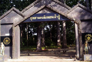 Don Chao Pu Botanical Park
