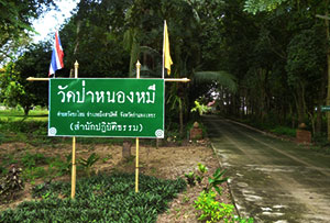 Wat Pa Nong Mi