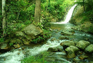 Mae Kiang Waterfall