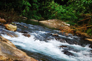 Ton Kloi Waterfall