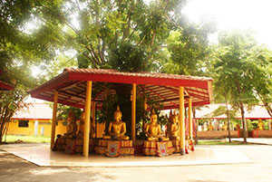 Wat Nong Phayom
