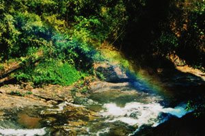 Sairung Waterfall