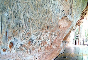 3000 Year Old Cliff Carvings