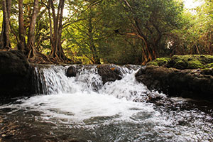 Tha Sawan Waterfall