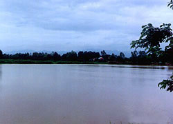 Wat Nong Rae Rai Reservoir