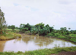 Dai Tako Canal