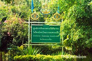 Wat Traimit Withayaram