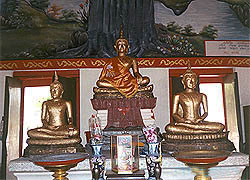 Wat Khok Phra Chedi