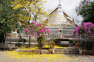 Wat Upanantaram (Wat Dan)