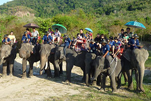 Hat Yai White Elephant Camp