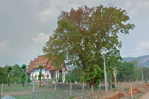Wat Si Sawat