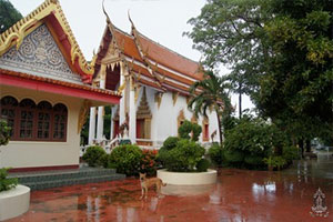 Wat Dhammarangsee